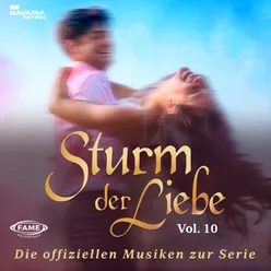 Die offiziellen Musiken zur Serie Vol.10