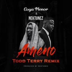 Ameno Amapiano Remix (You Wanna Bamba) Todd Terry Extended Mix