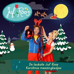 De leukste Juf Roos Kerstmis meezingliedjes Instrumental
