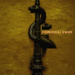 Moroccon Snake