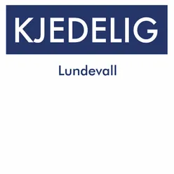 Kjedelig