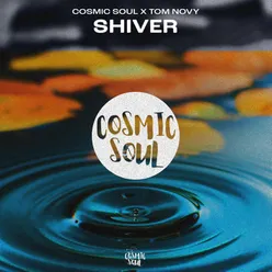 Shiver (Extended Mix)