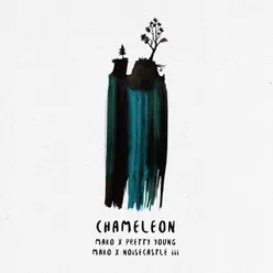 Chameleon (Remix)