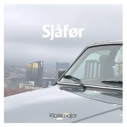 Sjåfør