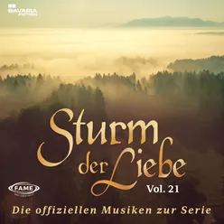 Die offiziellen Musiken zur Serie Vol.21