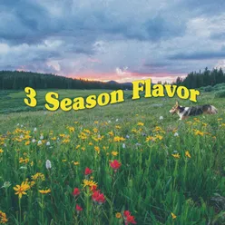 3Season Flavor