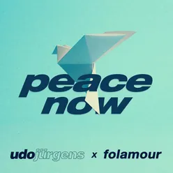 Peace Now (Folamour Remix)