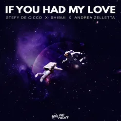 If You Had My Love (Extended Mix)