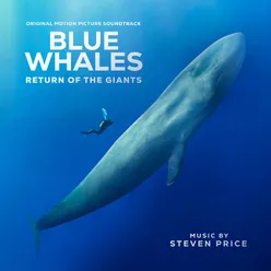 Blue Whales - Return of the Giants (Original Motion Picture Soundtrack)