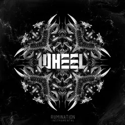 Rumination (Instrumentals)