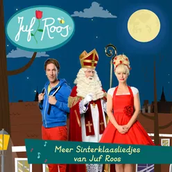 Meer Sinterklaas liedjes