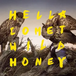 Wild Honey