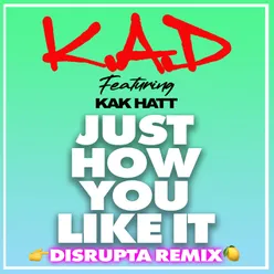 Just How You Like It (Disrupta Remix)