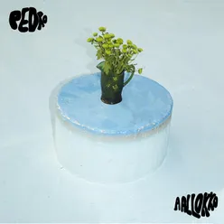 Aallokko