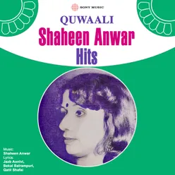 Shaheen Anwar Hits