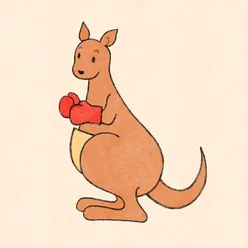 Kangaroo Fighter