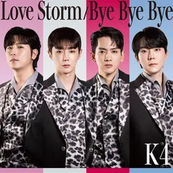 Love Storm Bye Bye Bye