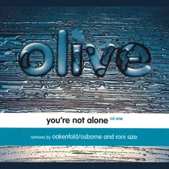 You're Not Alone (Radio Edit)