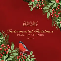 Wonderful Christmas Time (Instrumental Version)