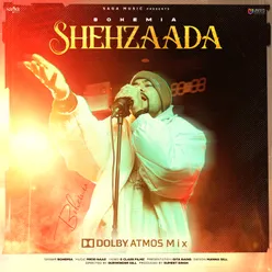 Shehzaada