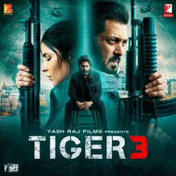 Tiger x Pathaan Theme