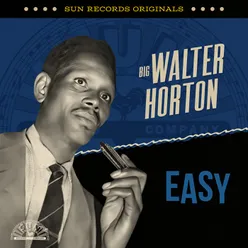 Little Walter's Instrumental