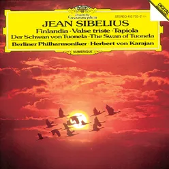 Sibelius: The Swan of Tuonela, Op. 22, No. 2