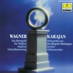 Wagner: Die Walküre, Act III Scene 1 - Hojotoho! Hojotoho! "Ride of the Valkyries" Clean Edit