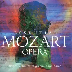 Mozart: Die Entführung aus dem Serail / Act 2 - "Martern aller Arten"