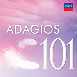 J.S. Bach: Concerto for 2 Harpsichords, Strings & Continuo in C Minor, BWV 1060 - Arr. Hogwood for Violin, Oboe & Strings - 2. Adagio