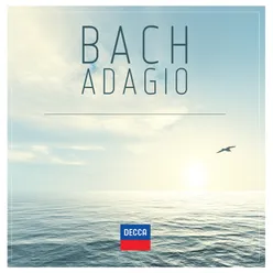 J.S. Bach: Cantata No. 156, BWV 156 "Ich steh mit einem Fuß im Grabe" - Sinfonia