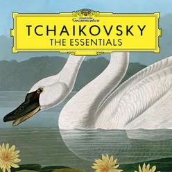 Tchaikovsky: Variations on a Rococo Theme, Op. 33, TH 57 - Variazione VI: Andante