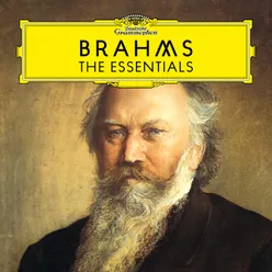 Brahms: Ein deutsches Requiem, Op. 45: 4. Chor: "Wie lieblich sind deine Wohnungen, Herr Zebaoth!"