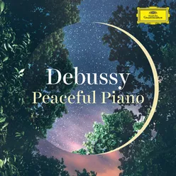 Debussy: Préludes / Book 1, L. 117 - VI. Des pas sur la neige