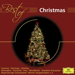 J.S. Bach: Christmas Oratorio, BWV 248 - Part One - For The First Day Of Christmas - No. 8 Aria (Baß): "Großer Herr, o starker König"