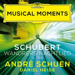 Schubert: Wandrers Nachtlied, D. 768 Musical Moments