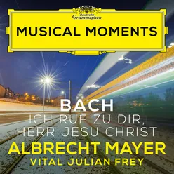 J.S. Bach: Ich ruf zu dir, Herr Jesu Christ, BWV 639 (Adapt. Tarkmann for Oboe d'amore and Harpsichord) Musical Moments