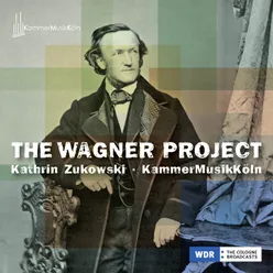 Wagner: Wesendonck Lieder, WWV 91 (Arr. Fontanelli for Voice and Ensemble): No. 4, Schmerzen