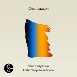 You Finally Knew Endel Sleep Soundscape
