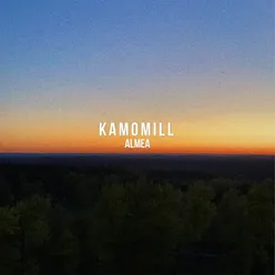 Kamomill