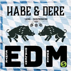 EDM (Echte Dialekt Musik)