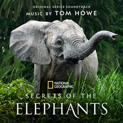 Secrets of the Elephants Original Series Soundtrack
