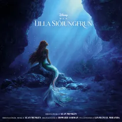 Den Lilla Sjöjungfrun Svenskt Original Soundtrack