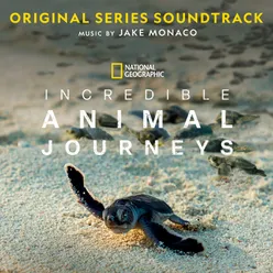 Incredible Animal Journeys Original Series Soundtrack