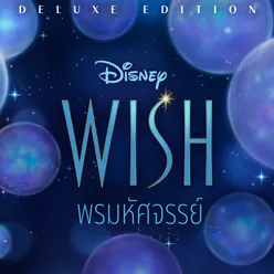 A Wish Worth Making