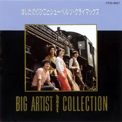 Big Artist Best Collection