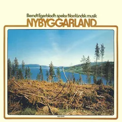 Nybyggarland (spelar Norrländsk musik)