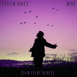 Rise Sam Feldt Remix