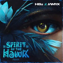 Spirit Of The Hawk