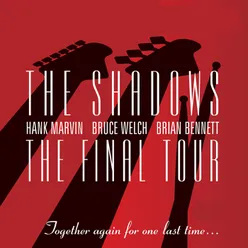 The Final Tour Live